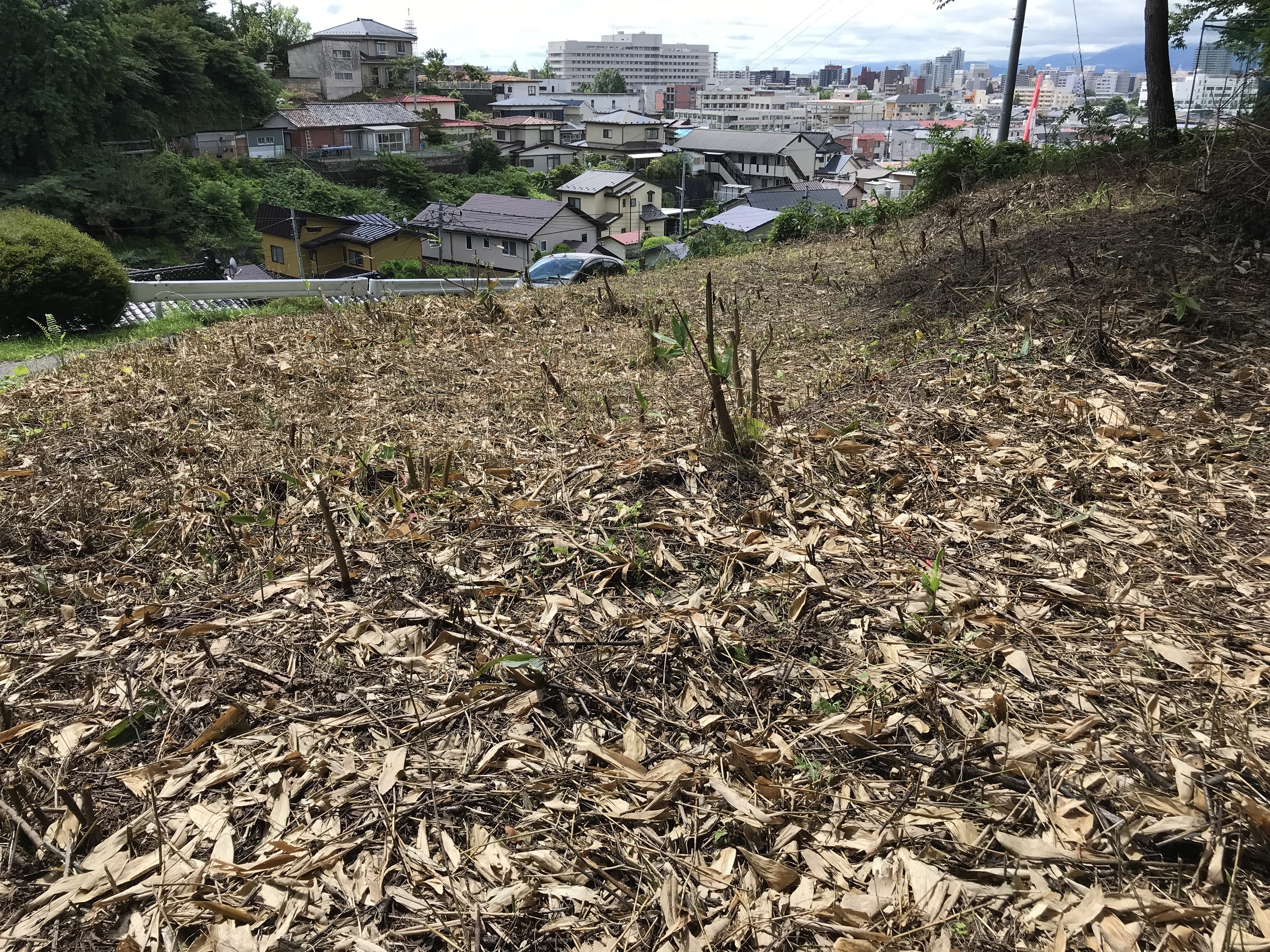 岩手県盛岡市北山２丁目の土地 300万円 の不動産 住宅の物件詳細 ハウスドゥ Com Sp スマートフォンサイト